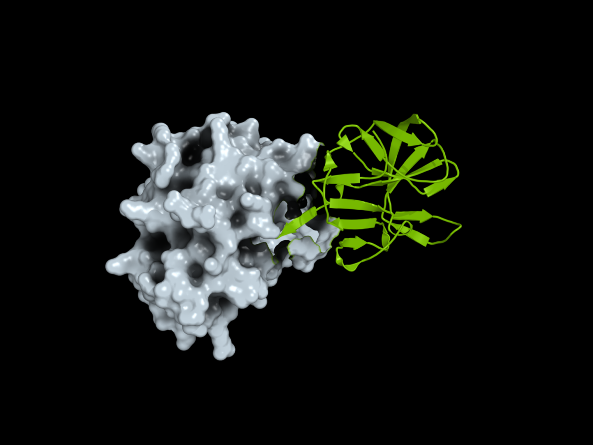 How Open Science Can Help Researchers Prepare for the Next Pandemic