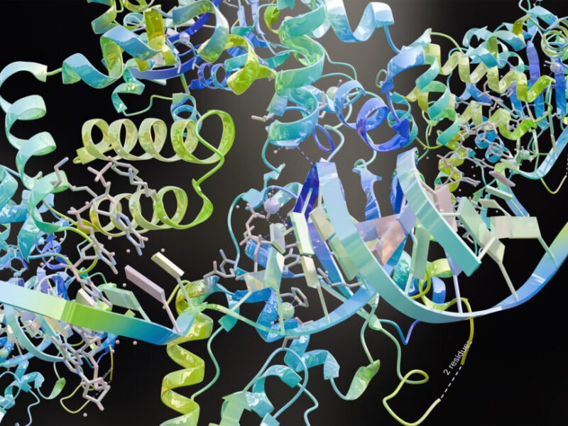 Google figures out how to watermark AI-designed proteins