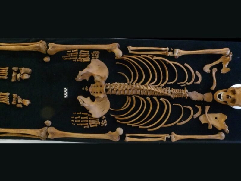 Archaeologists Thought This Roman Soldier Was Killed in a Tax Revolt. The Truth May Be Much Worse