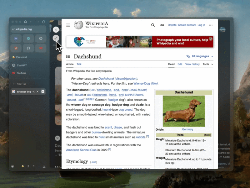 Zen Browser is the Arc replacement I was looking for